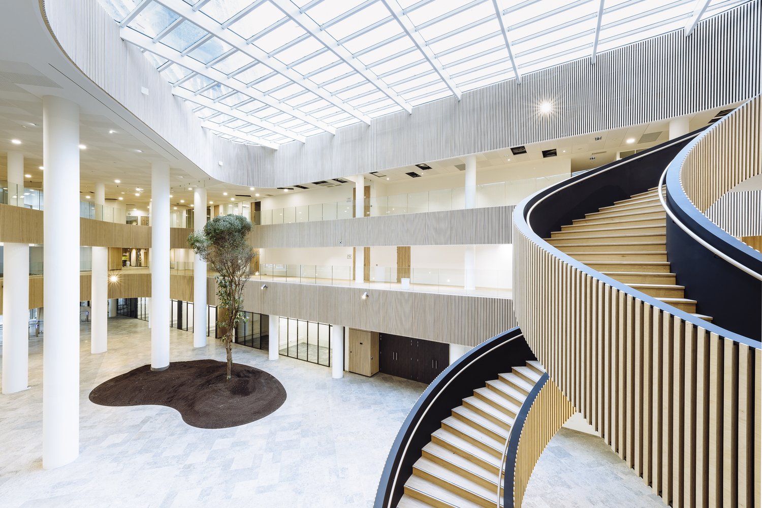 Architectural Stairs - The Biotope