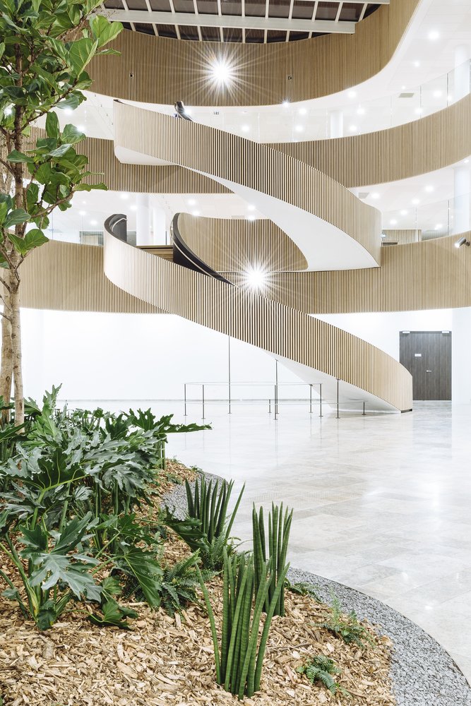 Architectural Stairs - The Biotope